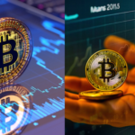 Crypto30x.com Catfish